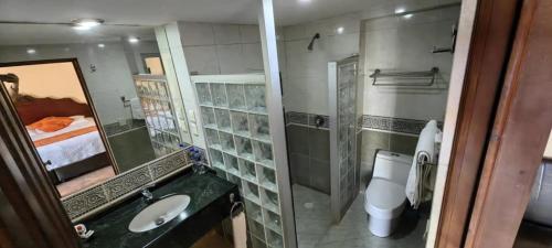 a bathroom with a toilet and a sink and a mirror at La Casona de los Gómez in Zacatlán