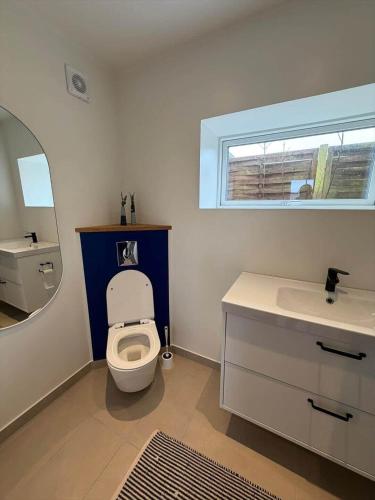 a bathroom with a toilet and a sink and a mirror at AE323-Soby-Aero-Sondervejen-5 in Søby