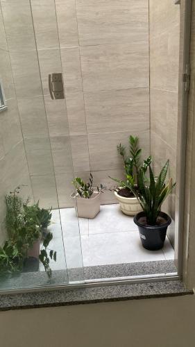 a group of potted plants sitting on a window sill at Lar Aconchego climatizado e compartilhado in Aracaju