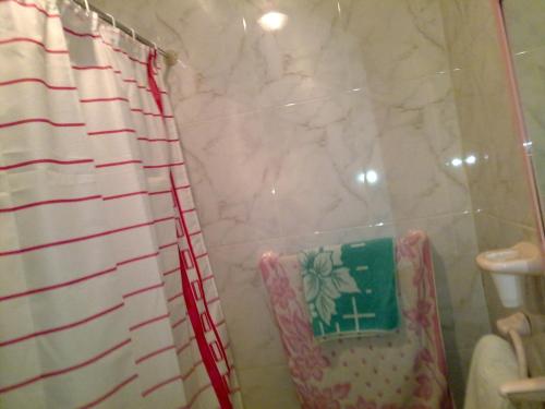 a shower curtain and a chair in a bathroom at Hostal Asensio Nijar in Níjar