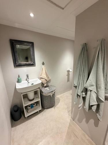 a bathroom with a sink and a mirror at Uys Cottage on 79 in Heidelberg
