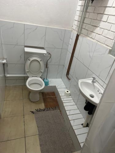 a small bathroom with a toilet and a sink at Blue Guesthouse in Virginia