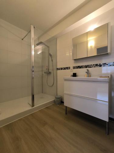 a bathroom with a shower and a sink and a tub at Spacious Quiet Pyrenees View Garage in Pau