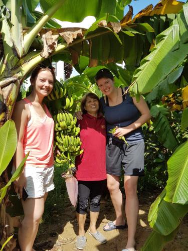 three women standing in front of a banana tree at Lucky Leaf Hoian Villa in Hoi An
