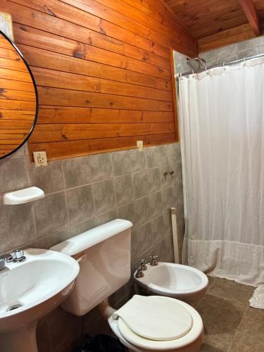 a bathroom with a toilet and a sink at La martina in Junín de los Andes