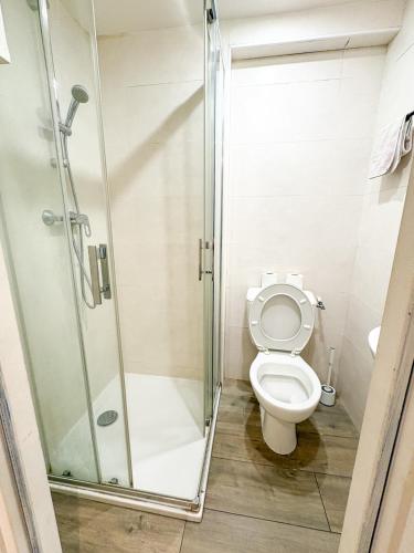 a bathroom with a shower and a toilet at Studio - Centre Ville in Sartrouville