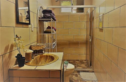 a bathroom with a sink and a toilet at YayazNature Lodge in Grecia