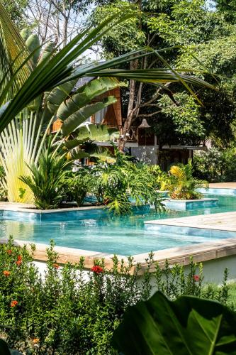 a row of swimming pools in a garden at Sambe Manglar in Moñitos