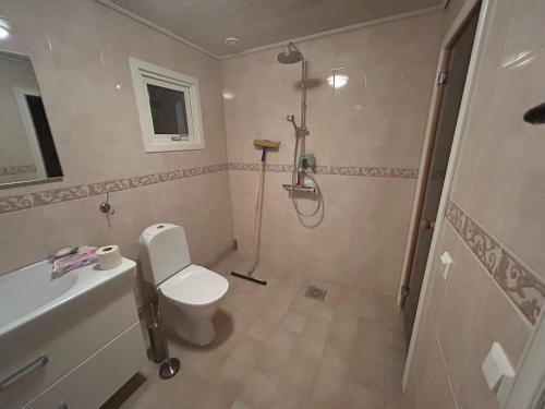 a bathroom with a shower and a toilet and a sink at Kukkolaforsen 160 in Haparanda
