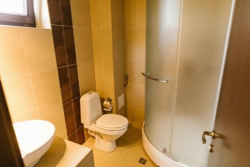 a bathroom with a toilet and a sink and a shower at Hanul Conitei in Sovata