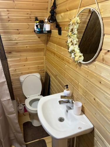 a bathroom with a toilet and a sink and a mirror at Achkhoti Paradise in Kazbegi