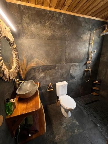 a bathroom with a toilet and a sink and a mirror at Lodge Sakayu - Charme, calme & piscine privée in Saint-Louis