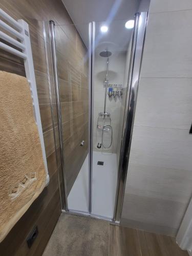 a shower with a glass door in a bathroom at Casa do Azeite in Torre de Moncorvo