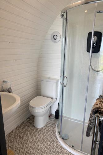 a bathroom with a toilet and a shower at Millfield Glamping Pods - Heatherhouse in Orkney