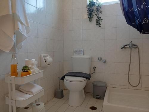 a white bathroom with a toilet and a shower at on the STRIP-Studio 2 in Kavos