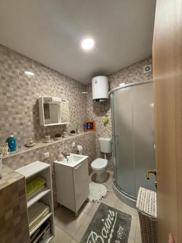 a bathroom with a shower and a toilet and a sink at Happy Home LP in Gruda