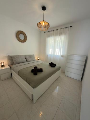 Serenity Suite