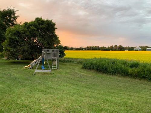 a playground in front of a rapeseed field at Chalet l'Intemporel - St Lawrence View in Notre-Dame-du-Portage