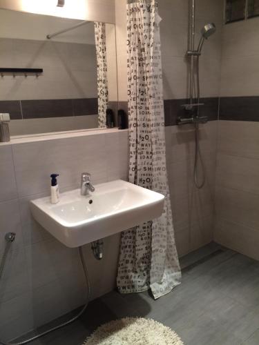 a bathroom with a sink and a shower at Apartmán Slovinská 28 in Brno