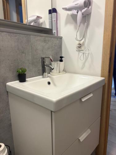 Un baño con lavabo blanco y secador de pelo. en littoral, en Bruselas