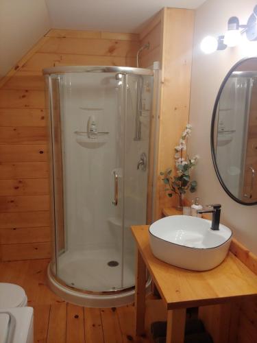 a bathroom with a shower and a sink at Le Iris in Saint-Alexis-des-Monts