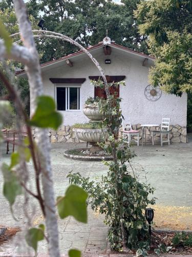 Foto Cabañas Rústicas dentro de la Finca El Castillo 1