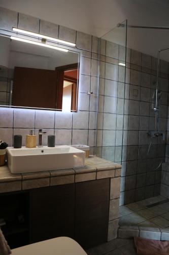 a bathroom with a sink and a shower with a mirror at Villa Milea in Milies Pelion in Mileai