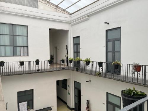 a white building with plants on a balcony at Hotel Alhaja Puebla Centro Histórico in Puebla
