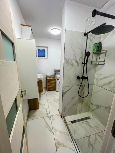 a bathroom with a shower with a glass door at Urban Haven Apartment in Oradea