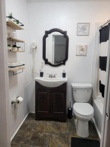 a bathroom with a sink and a toilet and a mirror at Charming Private Studio,Full Amenities, Great Location in Orlando