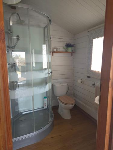 a bathroom with a toilet and a glass shower at Casa Rural Las Bodegas in Setenil