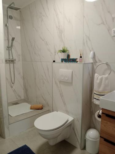 a white bathroom with a toilet and a shower at Apartment Zavalatica 184a in Čara