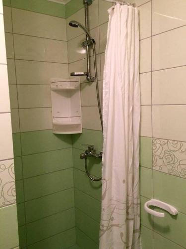 a shower with a white shower curtain in a bathroom at Apartment Zavalatica 184c in Čara
