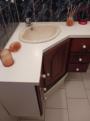 a bathroom with a white sink and a counter at Les Tourterelles in Sainte-Luce