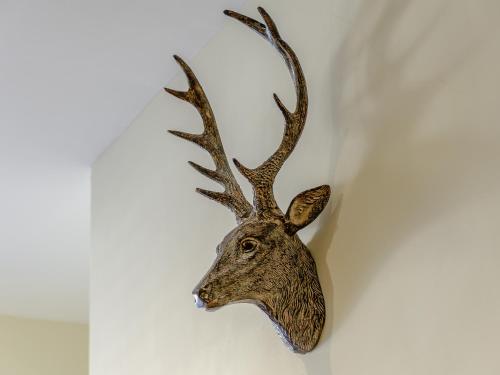 a head of a deer with antlers hanging on a wall at Hidden Winds Cottage in Guisborough