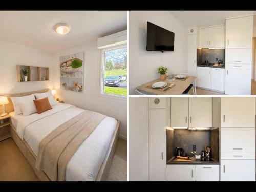 Appartement avec WIFI et Animaux Acceptés, Proche des Thermes à La Roche-Posay - FR-1-541-113