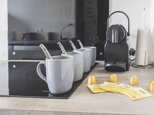 Somptueux Appartement au cœur de Reims