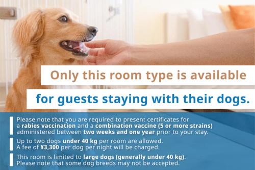 a person petting a dog in a flyer at Shimoda Prince Hotel in Shimoda