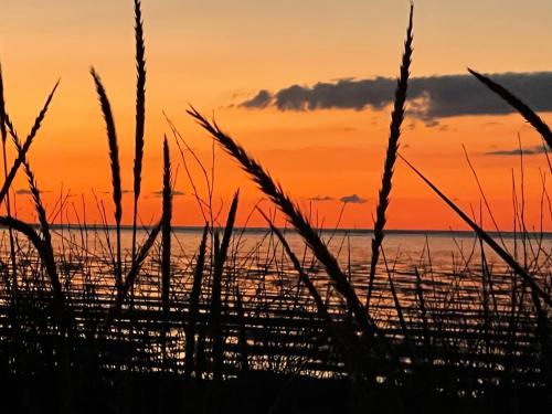 Moin Hotel Cuxhaven photo 58
