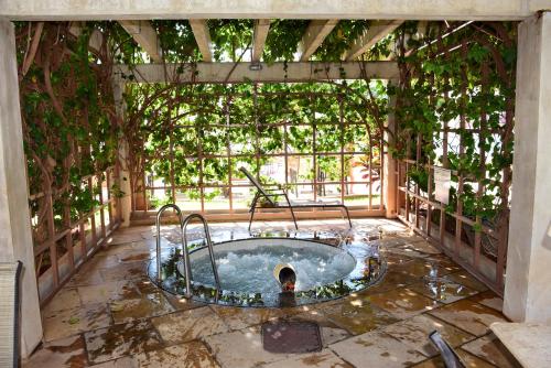 a dog in a swimming pool in a pergola at Lacqua diRoma 1 - Apartamentos JN in Caldas Novas