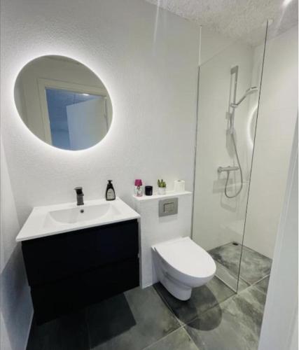 a bathroom with a toilet and a sink and a mirror at Vejle, Urhoej - Guest Suite in Vejle
