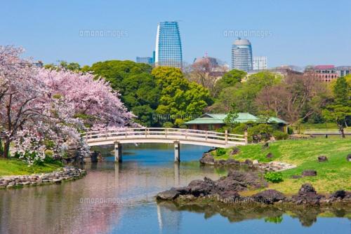 CLAIRE 芝公園 Tokyo Tower - C1- 2Bedrooms 2 toilets with livingroom and terrance