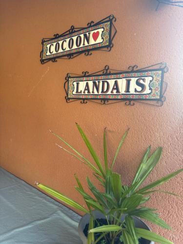 Cocon landais avec jaccuzi