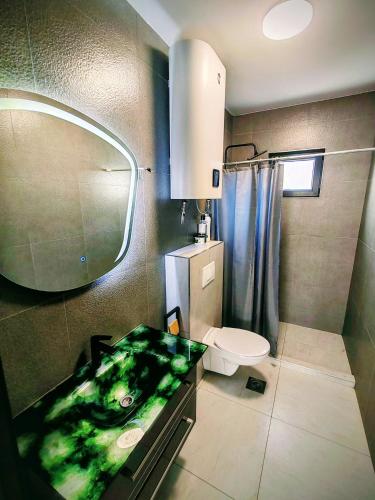 a bathroom with a sink and a toilet and a mirror at Villa Kally Fruska Gora in Velika Remeta