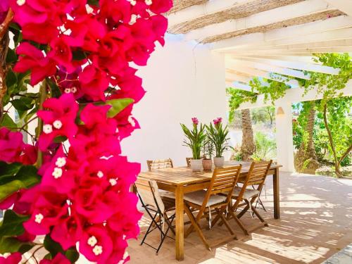 Casa Flor de la Vida By DelucaCo