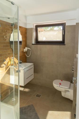 a bathroom with a toilet and a sink and a window at Carul din Stele in Coţofenii din Faţă