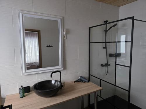 a bathroom with a sink and a glass shower at Niederdreisbacher Hof in Niederdreisbach