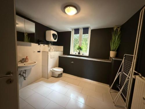 a bathroom with a toilet and a sink at Flensburg Zentrum 69 01 in Flensburg