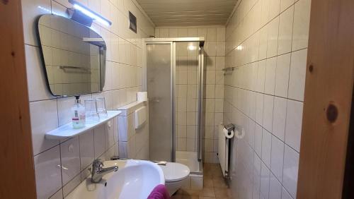 a bathroom with a sink and a toilet and a mirror at Stefflhof Mittersill in Mittersill
