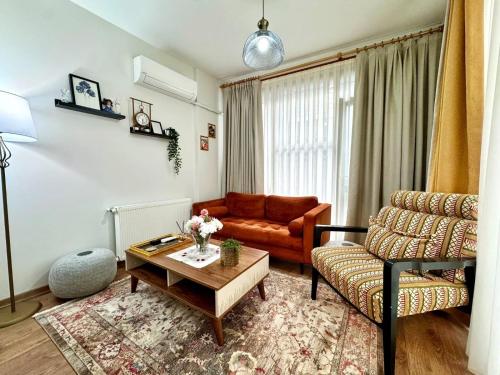 Modern Furnished Historical House